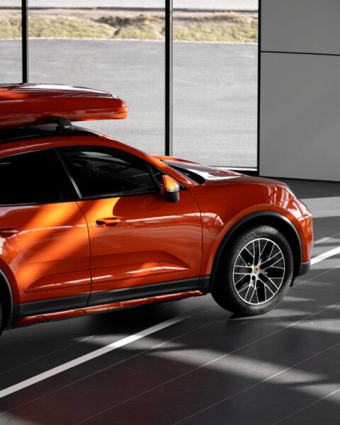 Papaya macan 5